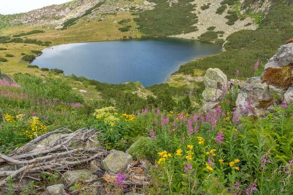 Bulgaristan Yonchevo Gölü Yakınlarındaki Rila Dağı Nın Muhteşem Manzarası — Stok fotoğraf