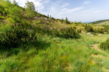 Bulgaristan 'ın Yonchevo Gölü yakınlarındaki Rila Dağı' nın muhteşem manzarası
