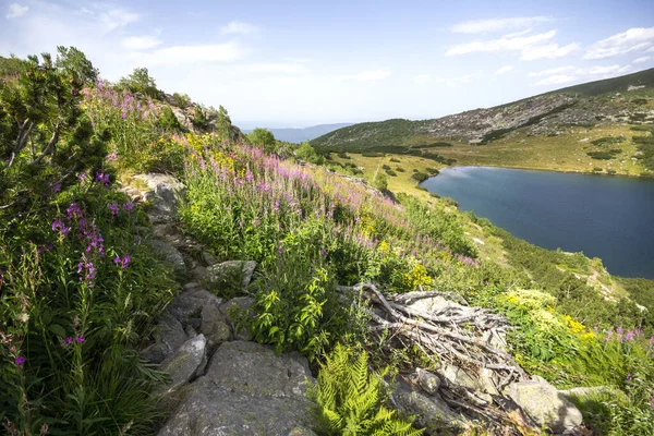 stock image Amazing Landscape of Rila Mountain near Yonchevo lake, Bulgaria