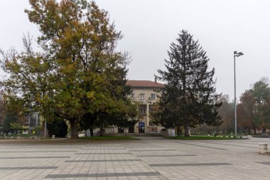 PLEVEN, BULGARIA - 8 Kasım 2020: Bulgaristan 'ın Plevne kentinin panoramik manzarası