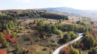 Bulgaristan 'ın Vitosha Dağı' nın şaşırtıcı sonbahar manzarası