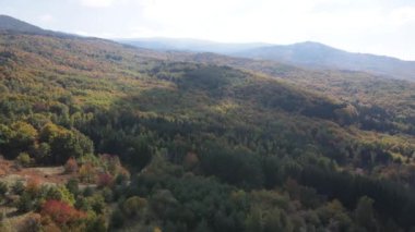 Bulgaristan 'ın Vitosha Dağı' nın şaşırtıcı sonbahar manzarası