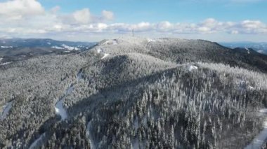 Aerial winter view of Rhodope Mountains around village of Stoykite and Pamporovo, Smolyan Region, Bulgaria