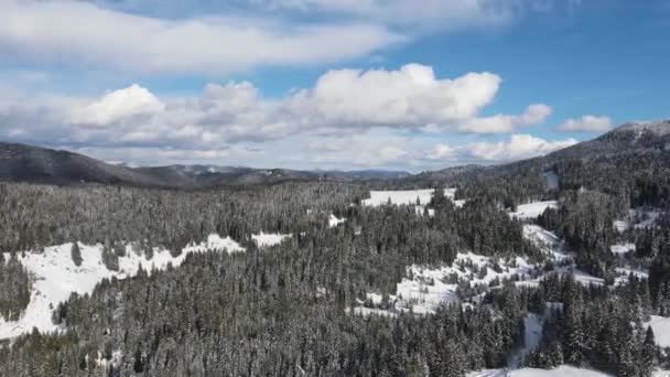 Aerial Winter View Rhodope Mountains Village Stoykite Pamporovo Smolyan Region — Stockvideo