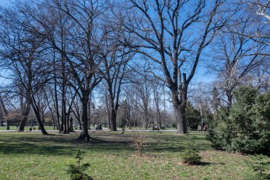 SOFYA, BULGARIA - 19 Mart 2023: Bulgaristan 'ın Sofya kentinde Borisova gradina' nın (Boris Garden) şaşırtıcı bahar manzarası