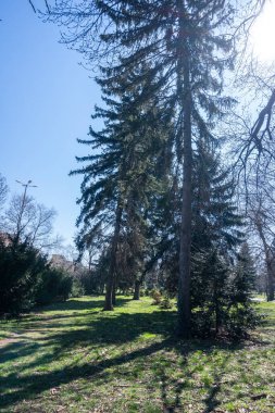 SOFYA, BULGARIA - 19 Mart 2023: Bulgaristan 'ın Sofya kentinde Borisova gradina' nın (Boris Garden) şaşırtıcı bahar manzarası
