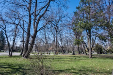 SOFYA, BULGARIA - 19 Mart 2023: Bulgaristan 'ın Sofya kentinde Borisova gradina' nın (Boris Garden) şaşırtıcı bahar manzarası