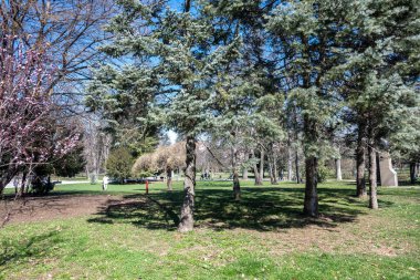 SOFYA, BULGARIA - 19 Mart 2023: Bulgaristan 'ın Sofya kentinde Borisova gradina' nın (Boris Garden) şaşırtıcı bahar manzarası