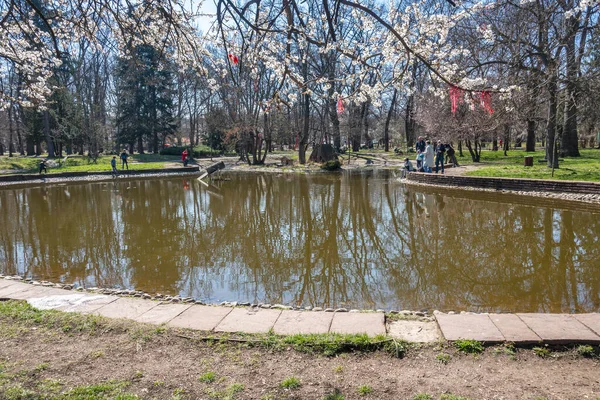 Sofia Bulgaria 2023年3月19日 保加利亚索菲亚市博里索娃 格拉迪纳 鲍里斯花园 壮观的春景 — 图库照片