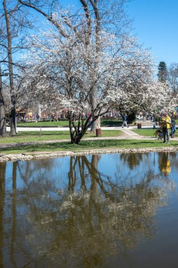 SOFYA, BULGARIA - 19 Mart 2023: Bulgaristan 'ın Sofya kentinde Borisova gradina' nın (Boris Garden) şaşırtıcı bahar manzarası
