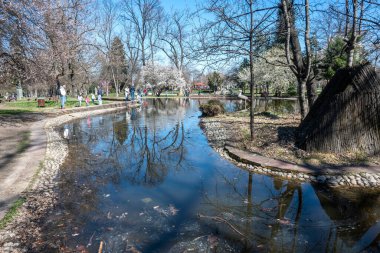 SOFYA, BULGARIA - 19 Mart 2023: Bulgaristan 'ın Sofya kentinde Borisova gradina' nın (Boris Garden) şaşırtıcı bahar manzarası