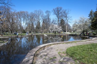 SOFYA, BULGARIA - 19 Mart 2023: Bulgaristan 'ın Sofya kentinde Borisova gradina' nın (Boris Garden) şaşırtıcı bahar manzarası