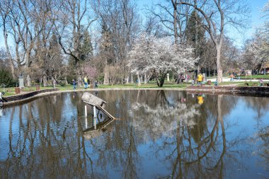 SOFYA, BULGARIA - 19 Mart 2023: Bulgaristan 'ın Sofya kentinde Borisova gradina' nın (Boris Garden) şaşırtıcı bahar manzarası