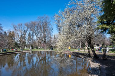 SOFYA, BULGARIA - 19 Mart 2023: Bulgaristan 'ın Sofya kentinde Borisova gradina' nın (Boris Garden) şaşırtıcı bahar manzarası