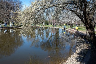 SOFYA, BULGARIA - 19 Mart 2023: Bulgaristan 'ın Sofya kentinde Borisova gradina' nın (Boris Garden) şaşırtıcı bahar manzarası