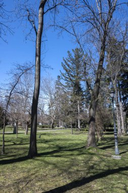 SOFYA, BULGARIA - 19 Mart 2023: Bulgaristan 'ın Sofya kentinde Borisova gradina' nın (Boris Garden) şaşırtıcı bahar manzarası