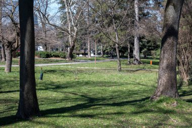 SOFYA, BULGARIA - 19 Mart 2023: Bulgaristan 'ın Sofya kentinde Borisova gradina' nın (Boris Garden) şaşırtıcı bahar manzarası