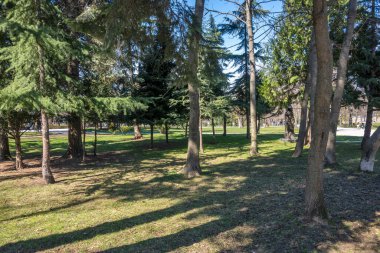 SOFYA, BULGARIA - 19 Mart 2023: Bulgaristan 'ın Sofya kentinde Borisova gradina' nın (Boris Garden) şaşırtıcı bahar manzarası