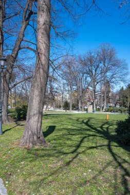 SOFYA, BULGARIA - 19 Mart 2023: Bulgaristan 'ın Sofya kentinde Borisova gradina' nın (Boris Garden) şaşırtıcı bahar manzarası