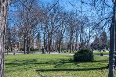 SOFYA, BULGARIA - 19 Mart 2023: Bulgaristan 'ın Sofya kentinde Borisova gradina' nın (Boris Garden) şaşırtıcı bahar manzarası