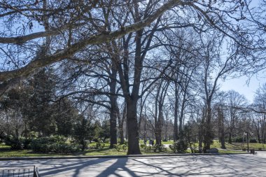 SOFYA, BULGARIA - 19 Mart 2023: Bulgaristan 'ın Sofya kentinde Borisova gradina' nın (Boris Garden) şaşırtıcı bahar manzarası