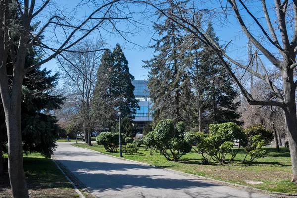 Sofia Bulgária Março 2023 Incrível Vista Primavera Borisova Gradina Jardim — Fotografia de Stock