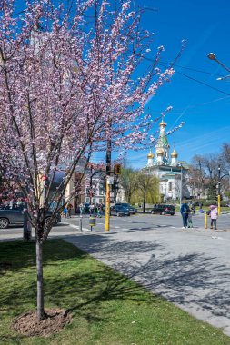 SOFYA, BULGARIA - 19 Mart 2023: Bulgaristan 'ın Sofya kentinde Rus Kilisesi' nin İnşa ve Altın Kubbeleri