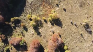 Bulgaristan 'ın Vitosha Dağı' nın İnanılmaz Sonbaharı