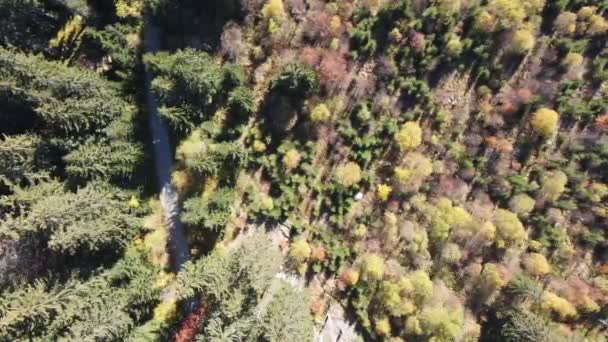 Amazing Aerial Autumn Vitosha Mountain Bulgarije — Stockvideo
