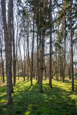 Bulgaristan 'ın Sofya kentindeki South Park' ın şaşırtıcı bahar manzarası