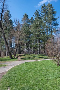 Bulgaristan 'ın Sofya kentindeki South Park' ın şaşırtıcı bahar manzarası