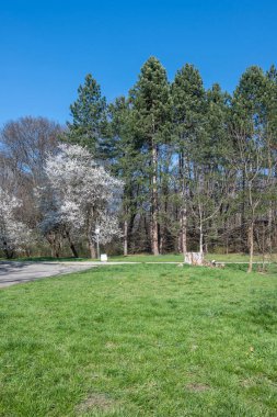 Bulgaristan 'ın Sofya kentindeki South Park' ın şaşırtıcı bahar manzarası