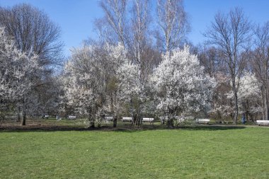 Bulgaristan 'ın Sofya kentindeki South Park' ın şaşırtıcı bahar manzarası