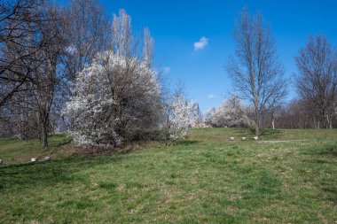 Bulgaristan 'ın Sofya kentindeki South Park' ın şaşırtıcı bahar manzarası