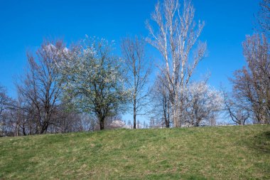 Bulgaristan 'ın Sofya kentindeki South Park' ın şaşırtıcı bahar manzarası