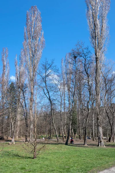 Erstaunliche Frühling Blick Auf South Park Der Stadt Sofia Bulgarien — Stockfoto