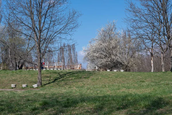 ブルガリアのソフィア市にある南公園の素晴らしい春の景色 — ストック写真
