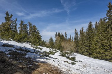 Vitosha Dağı 'nın kış manzarası, Sofya Şehir Bölgesi, Bulgaristan