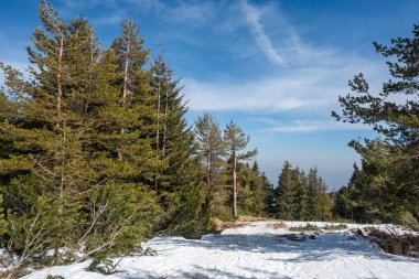 Vitosha Dağı 'nın kış manzarası, Sofya Şehir Bölgesi, Bulgaristan