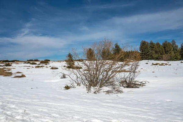 stock image Winter landscape of Vitosha Mountain, Sofia City Region, Bulgaria