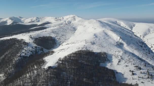 Amazing Aerial Winter View Balkan Mountains Beklemeto Pass Bulgaria — Stok video