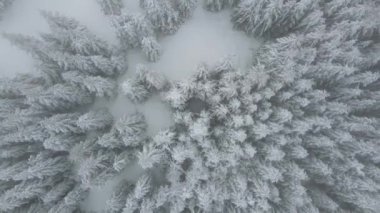 Amazing Aerial winter view of Rila mountain near Belmeken Dam, Bulgaria