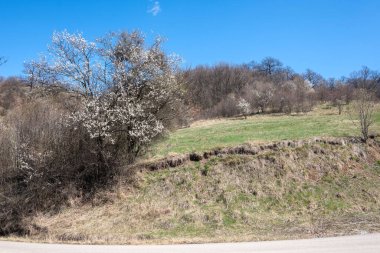 Lyulin Dağı 'nın bahar manzarası, Sofya Şehir Bölgesi, Bulgaristan