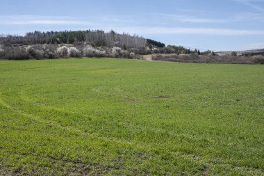 Lyulin Dağı 'nın bahar manzarası, Sofya Şehir Bölgesi, Bulgaristan