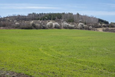 Lyulin Dağı 'nın bahar manzarası, Sofya Şehir Bölgesi, Bulgaristan