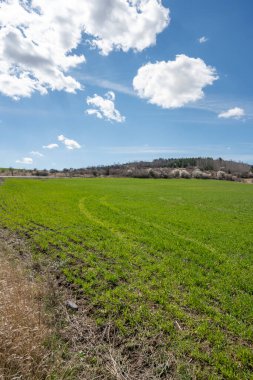 Lyulin Dağı 'nın bahar manzarası, Sofya Şehir Bölgesi, Bulgaristan