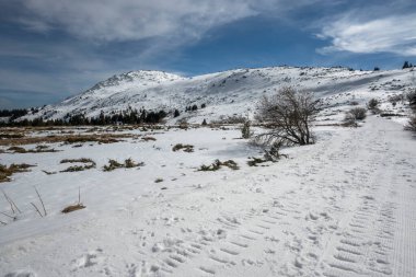 Vitosha Dağı 'nın kış manzarası, Sofya Şehir Bölgesi, Bulgaristan