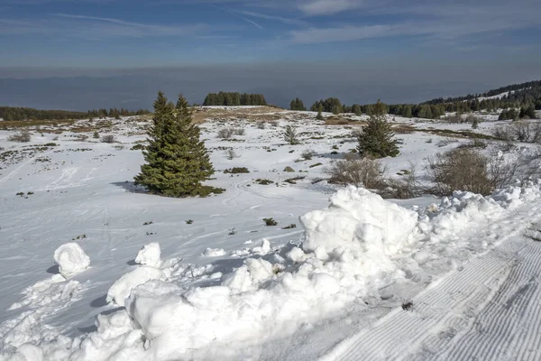 stock image Winter landscape of Vitosha Mountain, Sofia City Region, Bulgaria