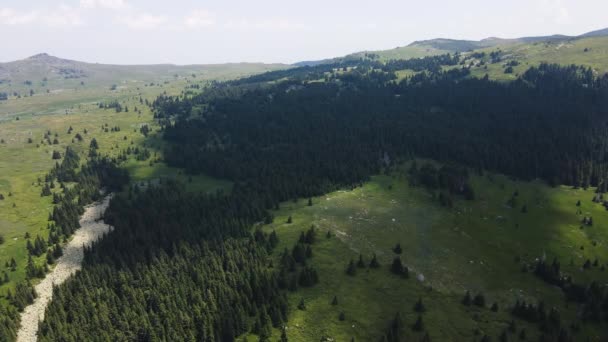 Aerial View Konyarnika Area Vitosha Mountain Sofia City Region Bulgaria — Stock Video