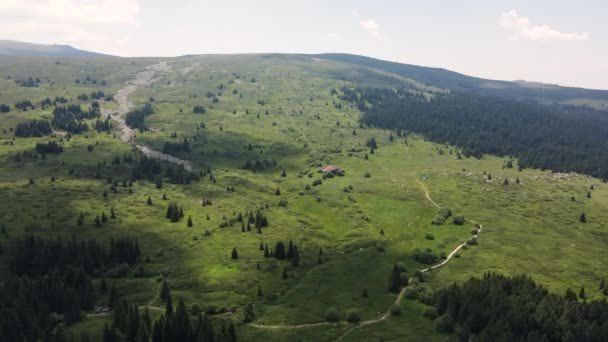 Flygfoto Över Konyarnika Området Vitosha Mountain Sofia City Region Bulgarien — Stockvideo